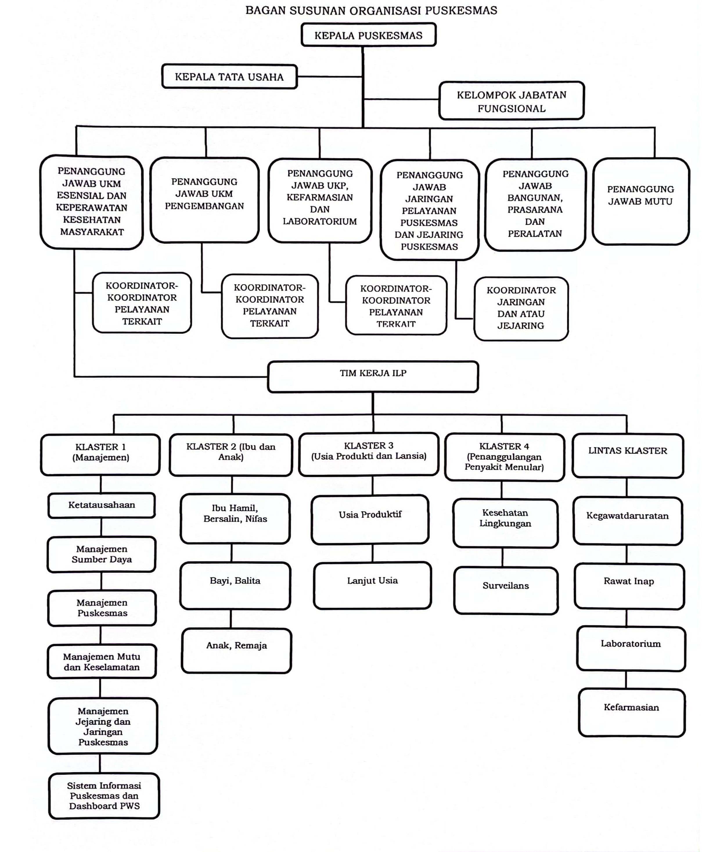 Struktur Organisasi Puskesmas